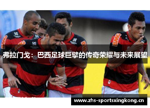 弗拉门戈:巴西足球巨擘的传奇荣耀与未来展望 弗拉门戈:巴西足球巨擘的传奇荣耀与未来展望